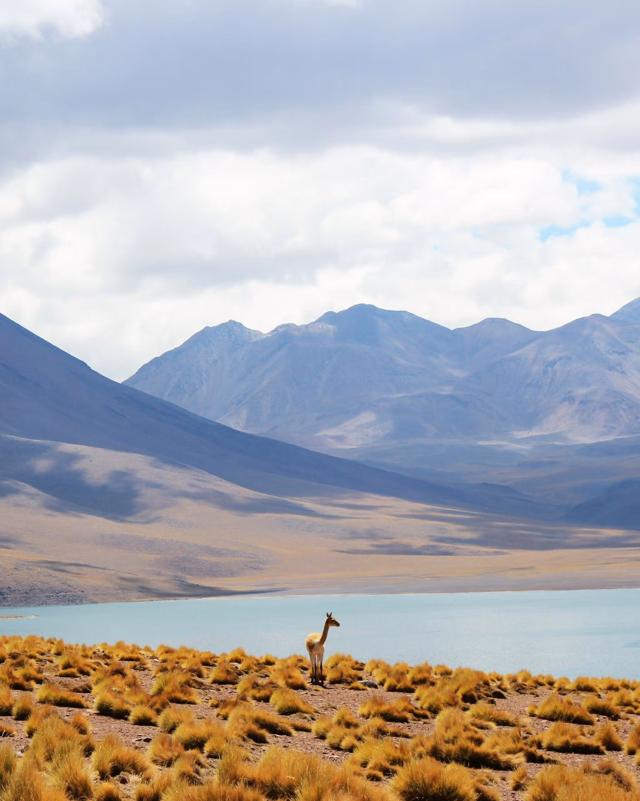 Chile