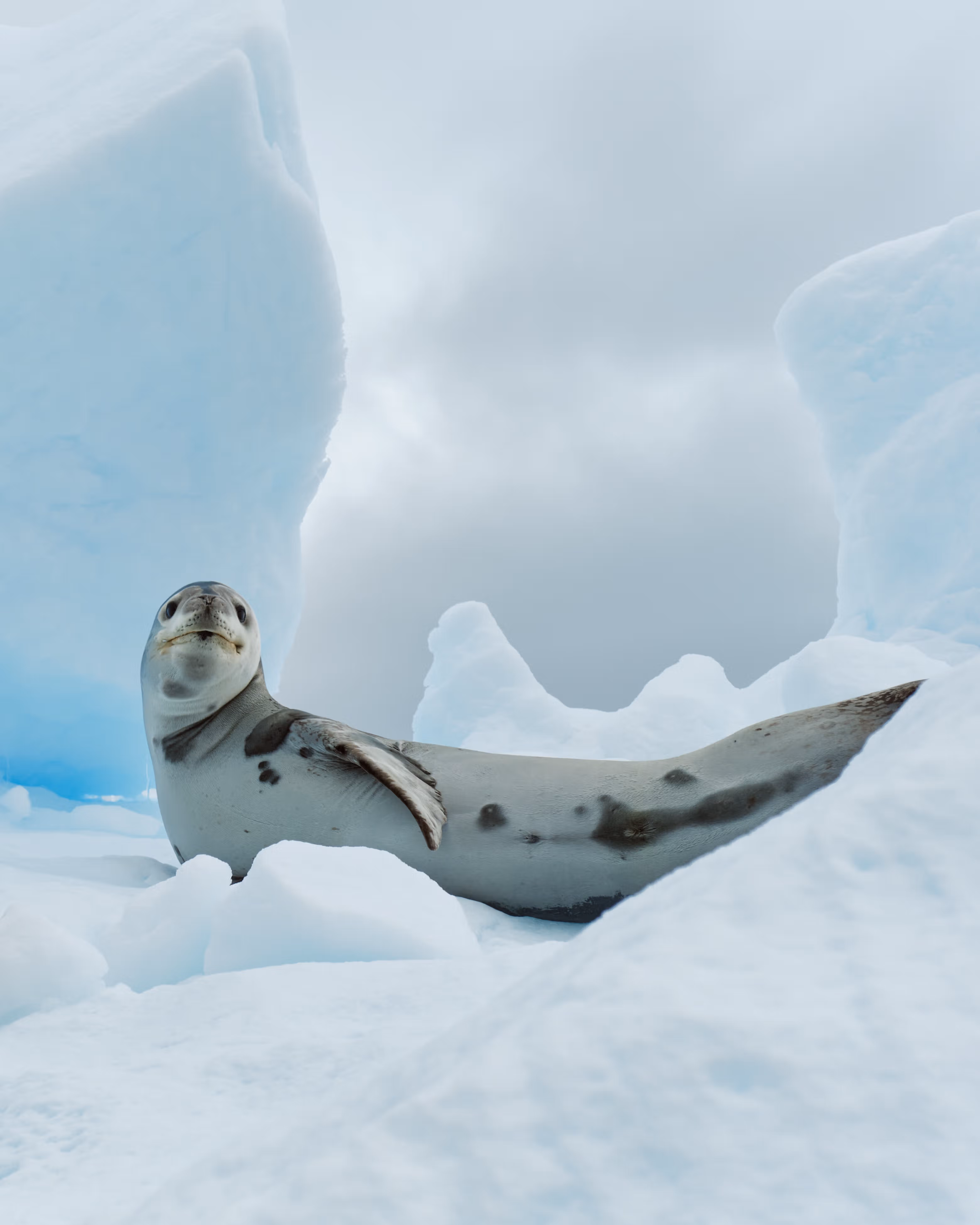 abercrombie kent journey